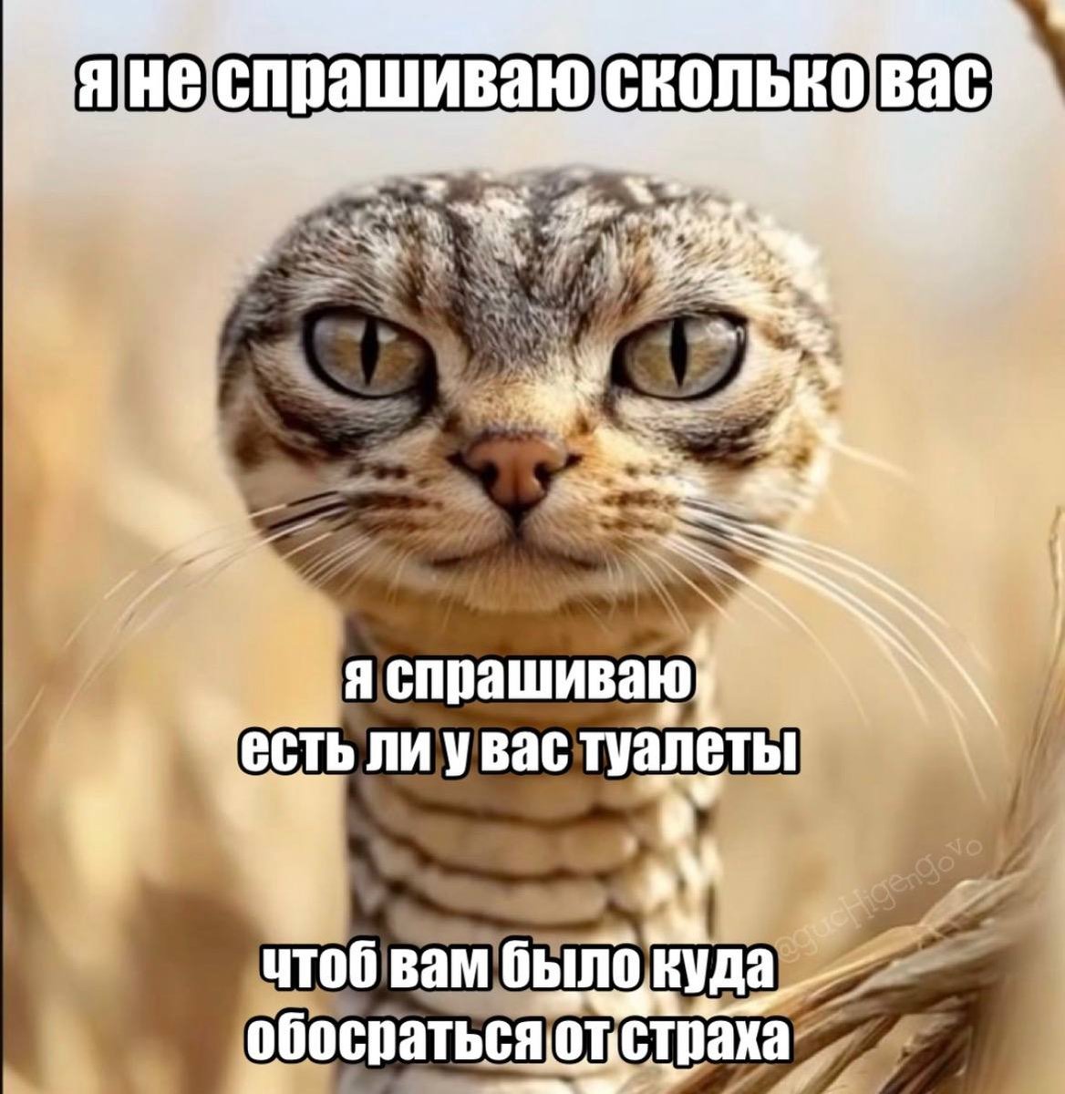 Чуваки, я могу выкидывать по сто постов в секунду с крутыми пикчами,… — Oleshka325 · Стрекоза