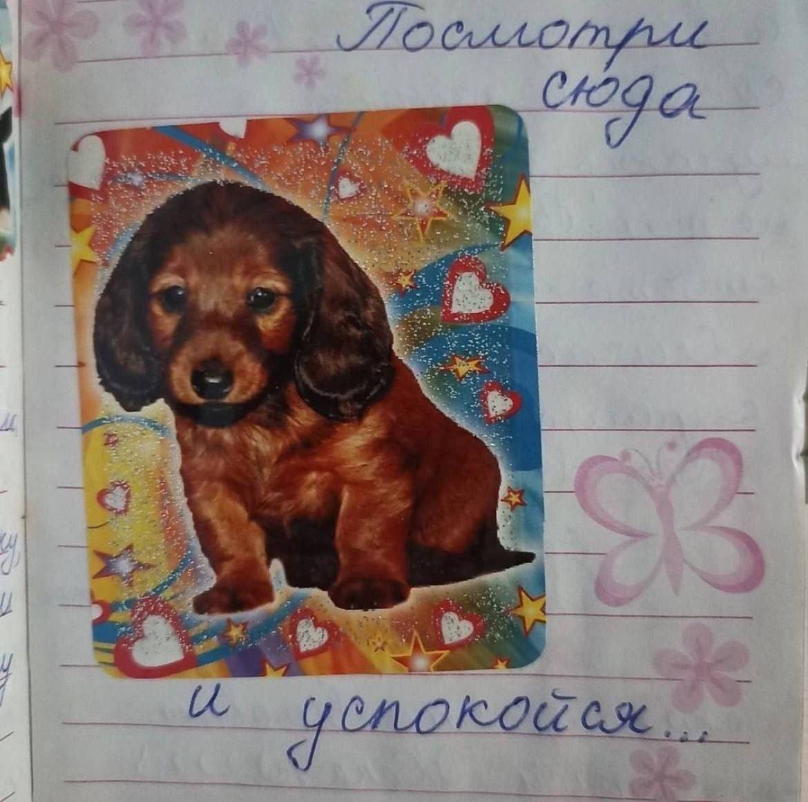 что-то тут какой-то эпик, стесняшки (как я) пока не вписываются. слуш… — lolita.mp3 · Стрекоза