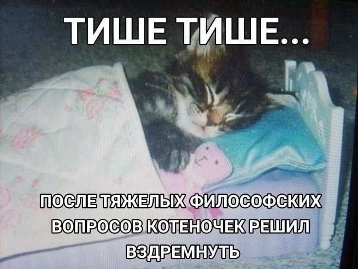 Всем тем кто только уснул и тем кто еще даже не проснулся - посвящает… — ReznoVorkuta · Стрекоза