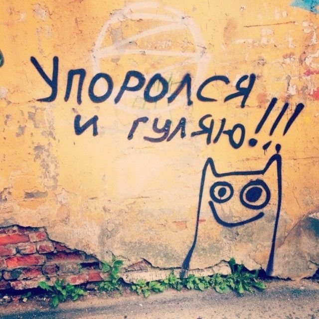 сап двач, гуляю по тырнетикам — notkind4u · Стрекоза