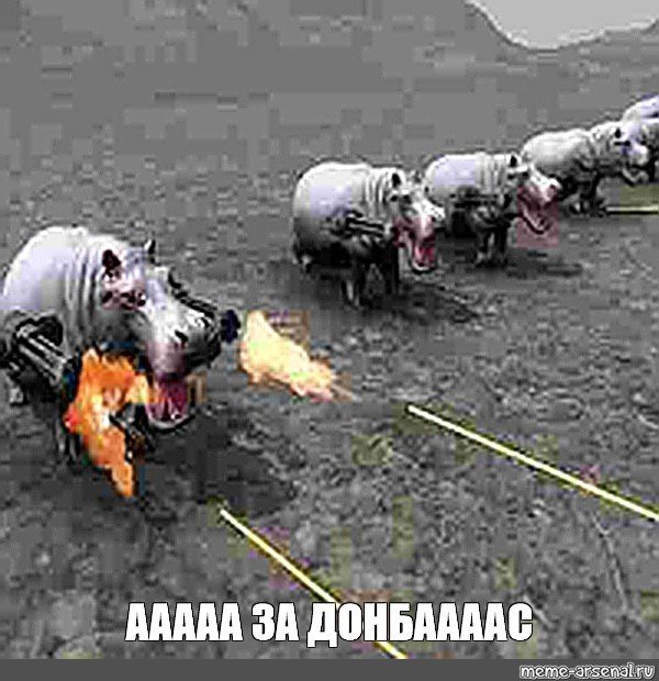 Хз какой панч к этой картинке придумать, бегемотики классные — Karte4 · Стрекоза