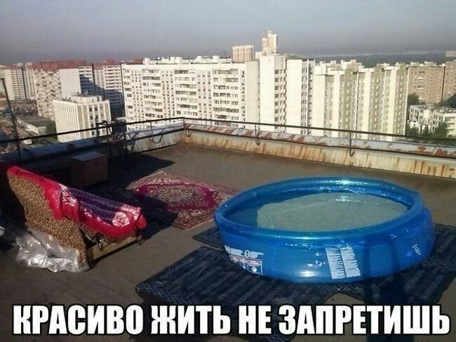 СТРЕКОЗА ВЕРНУЛАСЬ — Cloudi · Стрекоза