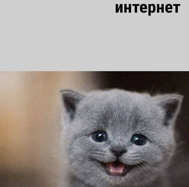 воу воу чт тут происходило пока я тут не было и я страдал от насморка… — kat · Стрекоза