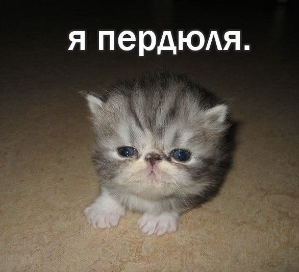 Ну и в завершение моего лютого завоза по контенту на стрекозе... ВАМ… — P1nkMask · Стрекоза