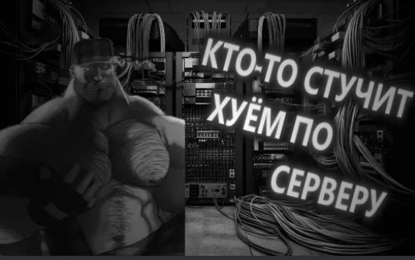 чото сайт моросит малясь хз чуваки, зайти не мог пол дня на сайт, мож… — XxX_Darwin_Wotarson_XxX · Стрекоза