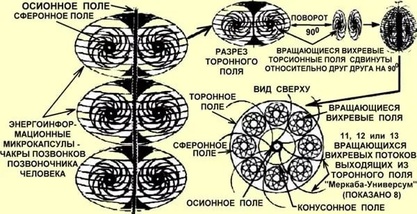 Проспал сколько мох — Xyc · Стрекоза