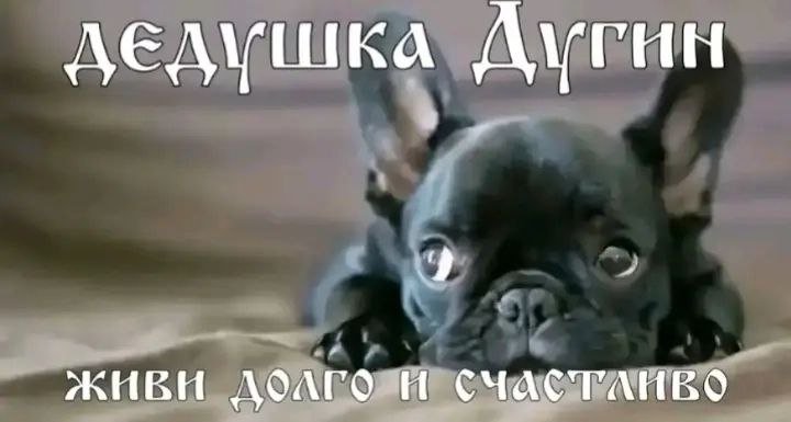 Интересно, а вы когда-нибудь задумывались? — Dhomochevsky · Стрекоза