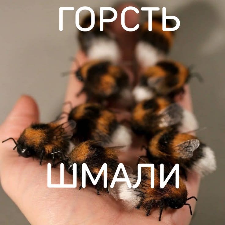 держи шмелёв — lexa_dj · Стрекоза