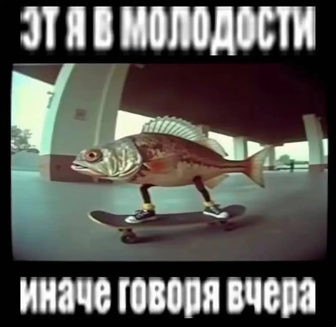 Охаеясделалдатебае Я посмотрел крвоарвый четверг, оч понравился Надпи… — desspech · Стрекоза