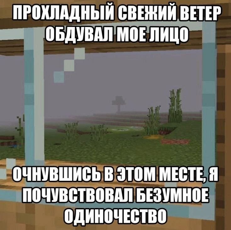 Всем доброго времени суток. Я выпил баночку яблочного сидра перед РАБ… — k550nz · Стрекоза