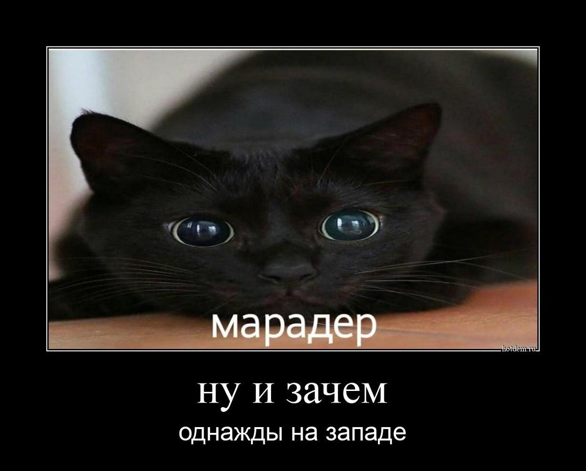 всем доброй и хорошей ночи!"-" чо делаете? я сейчас пойду в магазин з… — flussy · Стрекоза