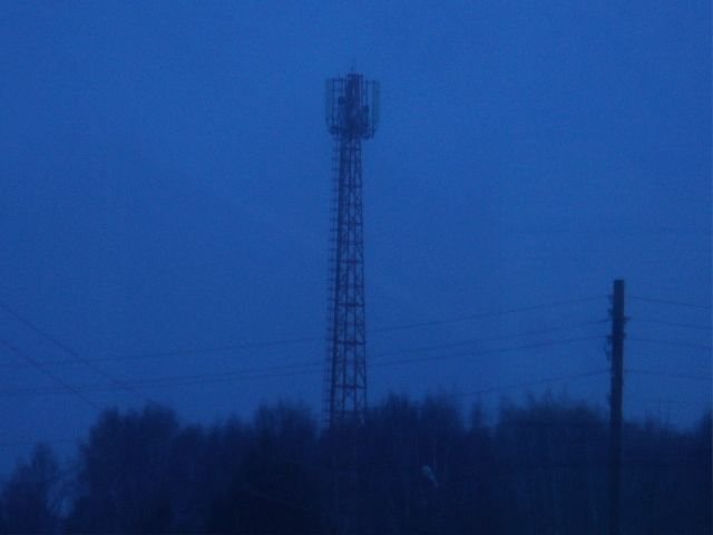 cтарая фотка, может буду ещё скидывать сюда фотки с фотоаппарта — kaiter26 · Стрекоза