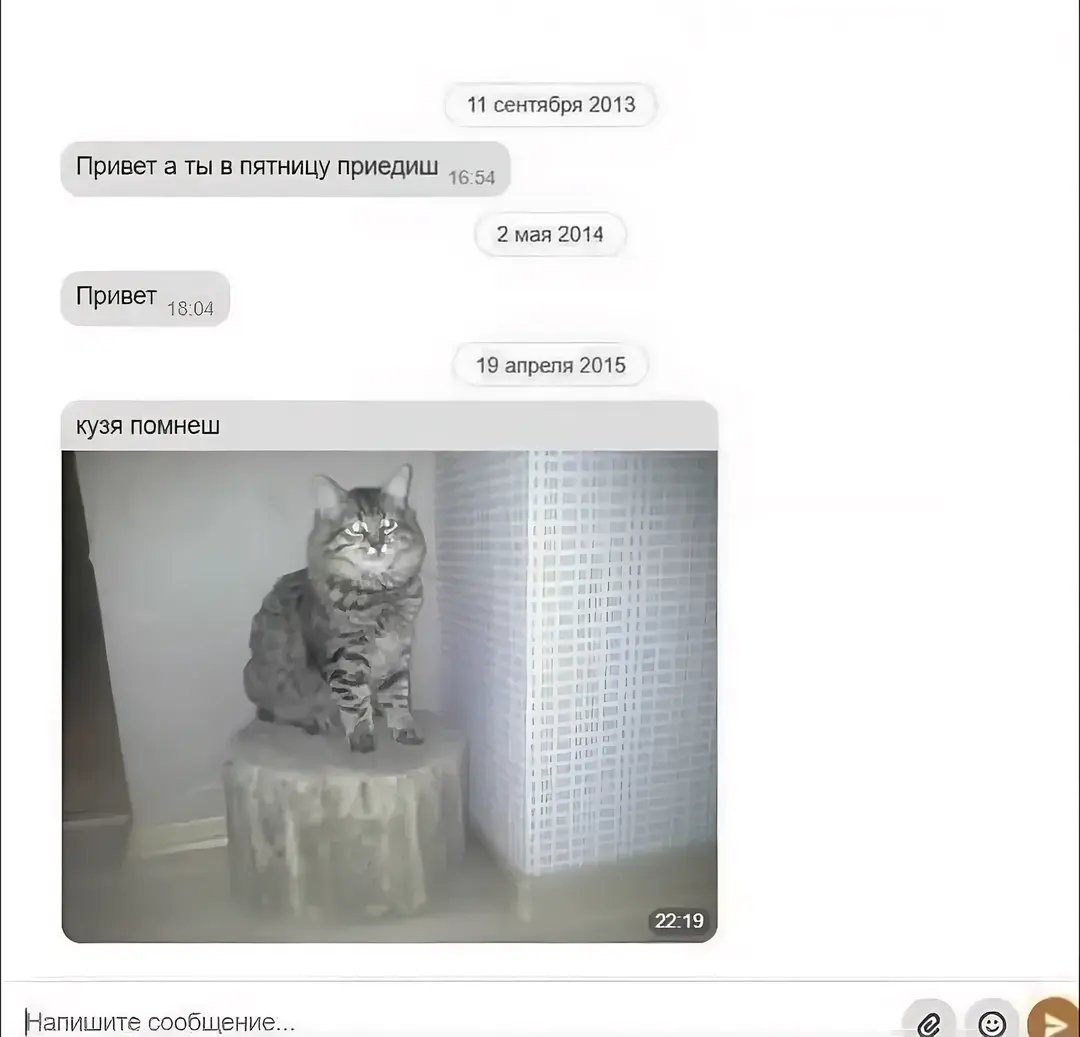 Кузя🥰 — Terry457 · Стрекоза