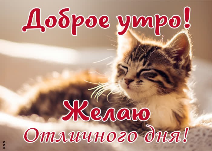 Всем доброе утро, стрекозки! — Athen · Стрекоза