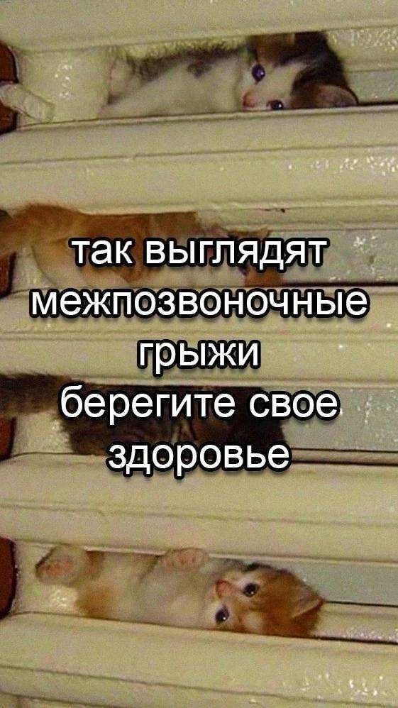 https://furry34.com/u/egor_0123456789 — трешатина порно/любые фетежи · Стрекоза