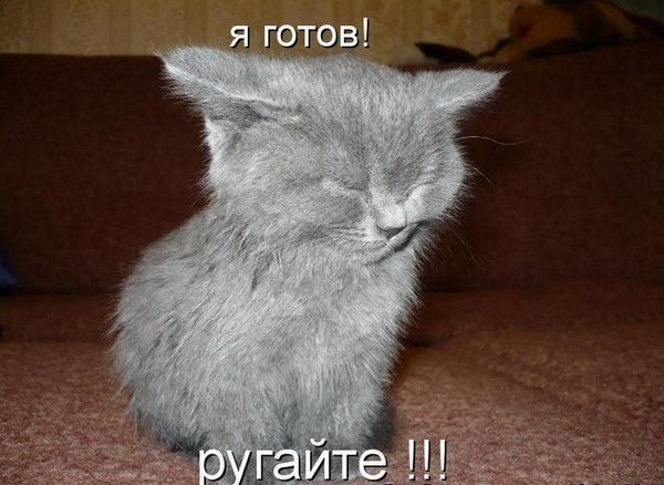 почему в наше время так тяжело завести друзей. ну или после 20 лет. я… — MAKC_MAPKOBKA · Стрекоза