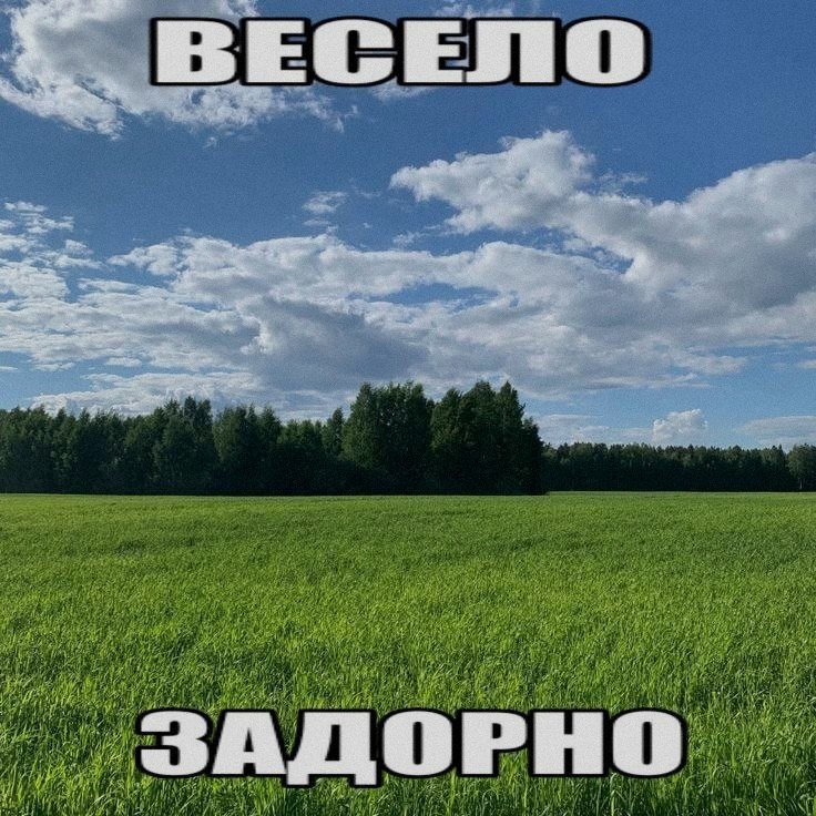 Есть такое — САМАЯ НИЩЕВАЯ ГРУППА (о да мы такие нишевые блин круто) · Стрекоза