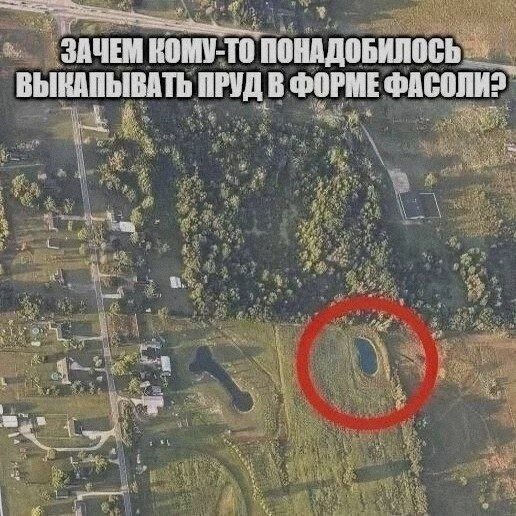 Я не знаю честно говоря — САМАЯ НИЩЕВАЯ ГРУППА (о да мы такие нишевые блин круто) · Стрекоза