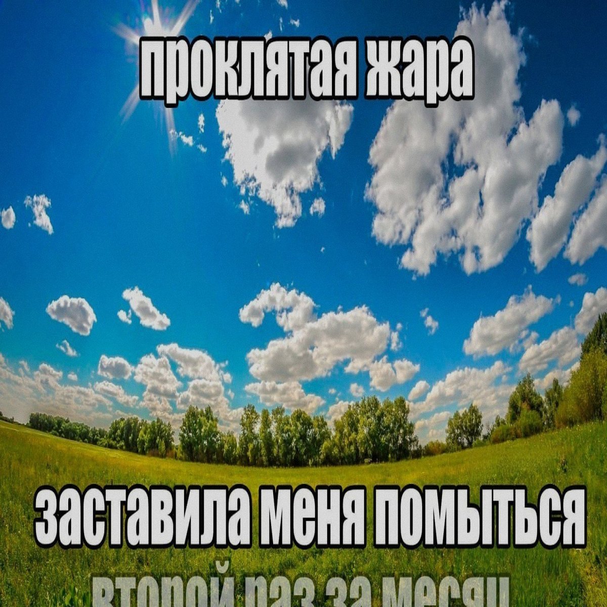 Каюсь, было — САМАЯ НИЩЕВАЯ ГРУППА (о да мы такие нишевые блин круто) · Стрекоза