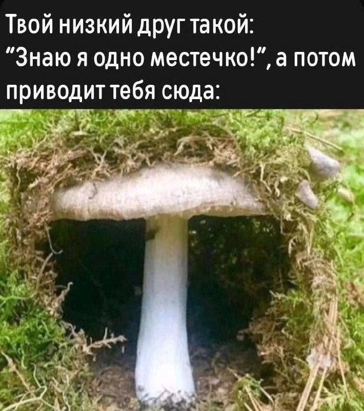 с гномиков по лайку — Dhomochevsky · Стрекоза