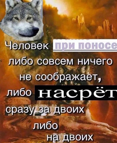 волк никогда не будет жить в загоне, но загоны всегда будут жить в во… — arahno · Стрекоза