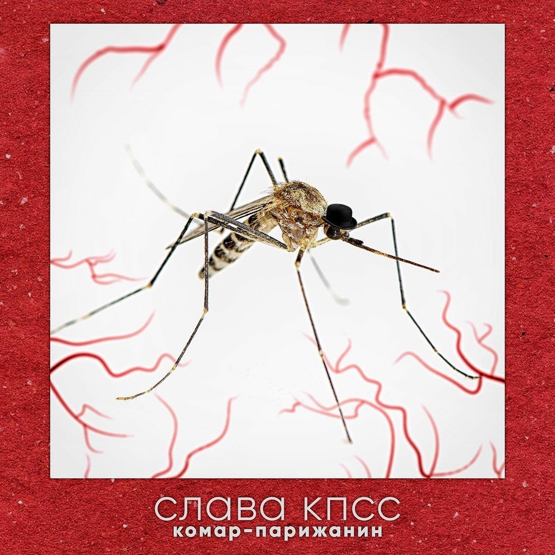 слава кпсс комар-парижанин — слава кпсс клабматэ · Стрекоза