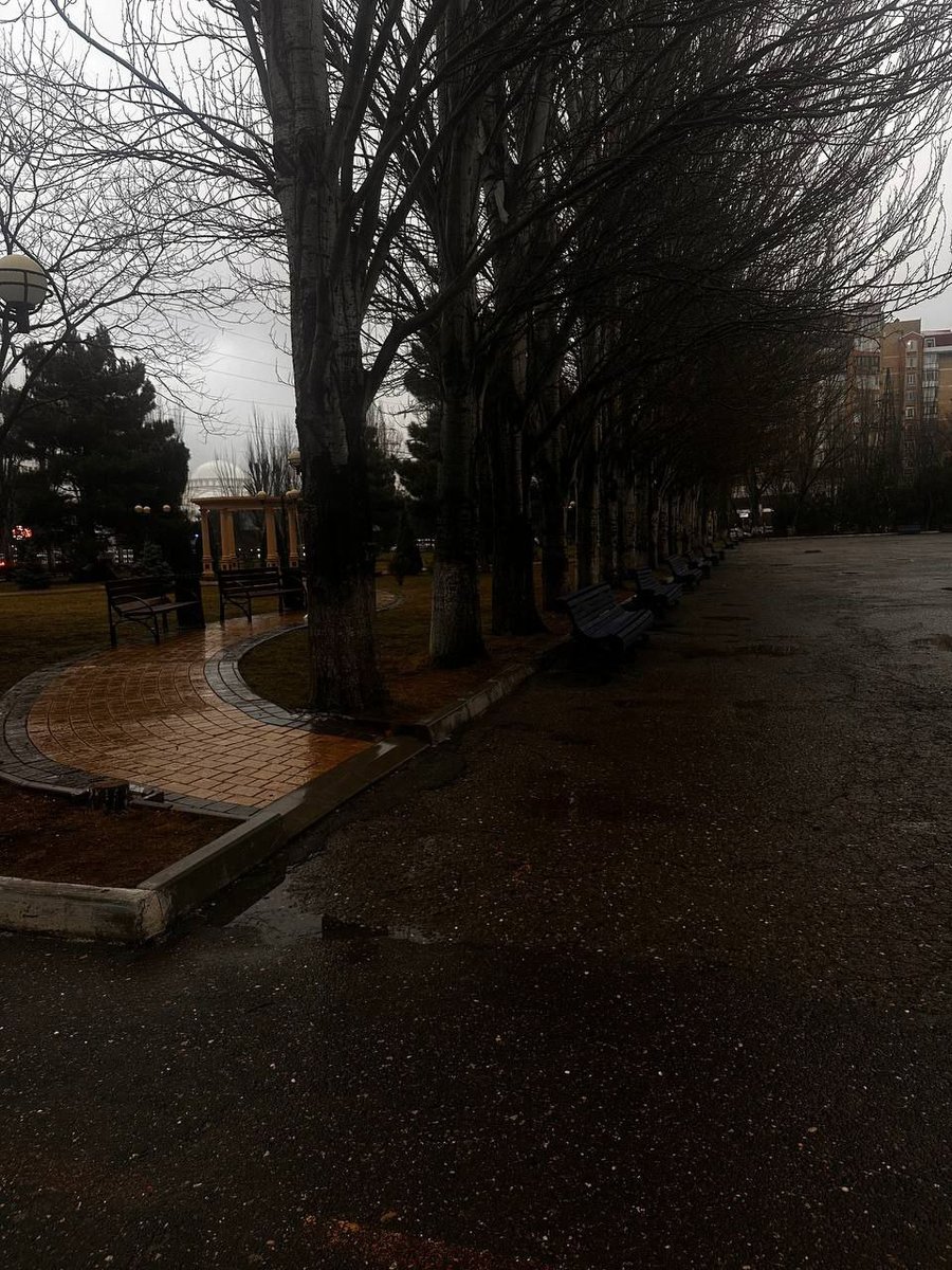 Этой фотке уже пара лет, я снимала это на свой старый редми который у… — IAmLilo · Стрекоза