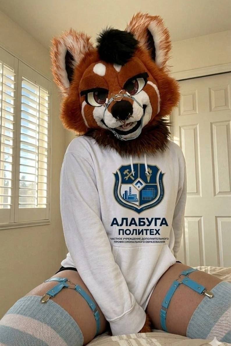 АЛАБУГА ПОЛИТЕХ — HASHENTITY · Стрекоза