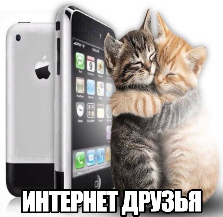 У меня их нет, но ладно — Mistress · Стрекоза