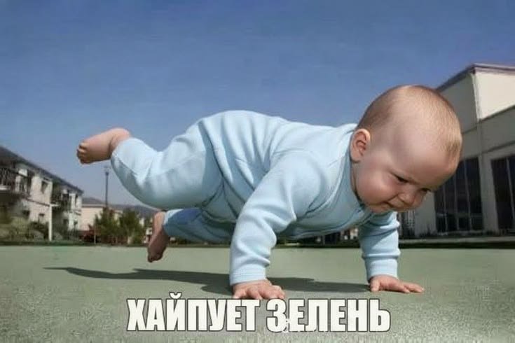 хозохохо novichek))) — стренжир · Стрекоза