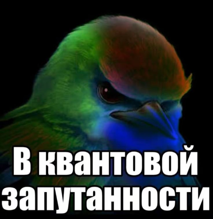 в квантовом удовлетворении — стренжир · Стрекоза