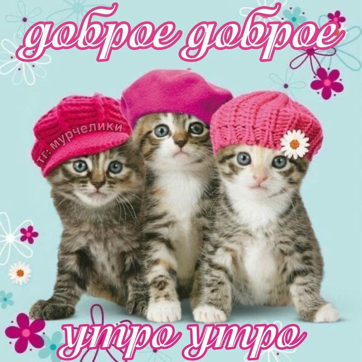 ❤️ — Mistress · Стрекоза