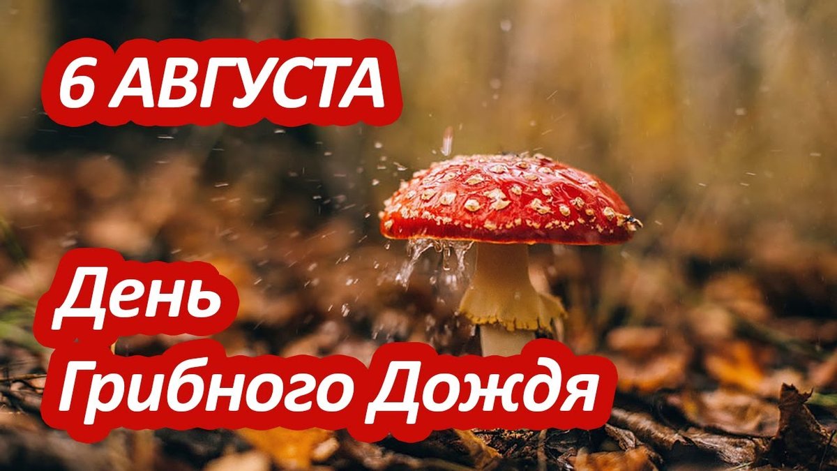 всех с праздником — ToNaLkA77 · Стрекоза