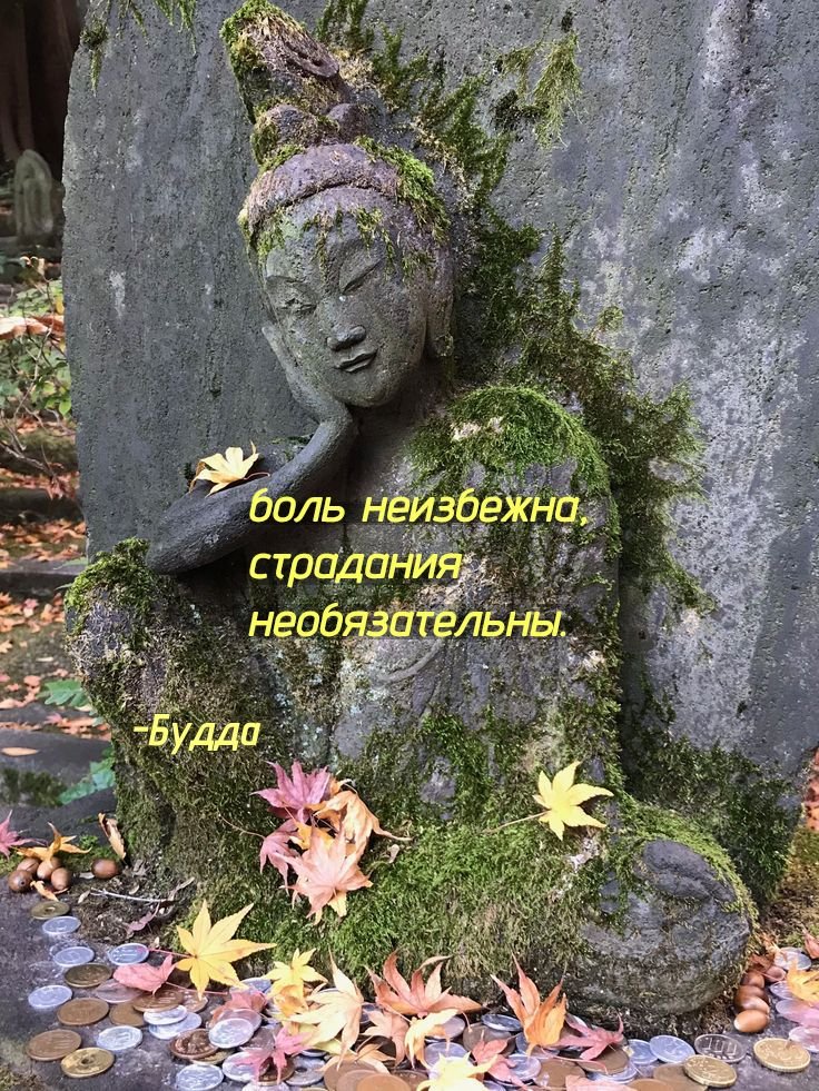 ну это полный +vibe — nikki54 · Стрекоза