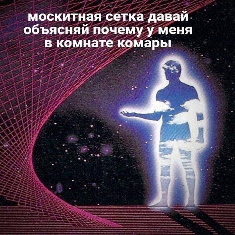 Всем привет, чё как у вас пузо поживает? — САМАЯ НИЩЕВАЯ ГРУППА (о да мы такие нишевые блин круто) · Стрекоза