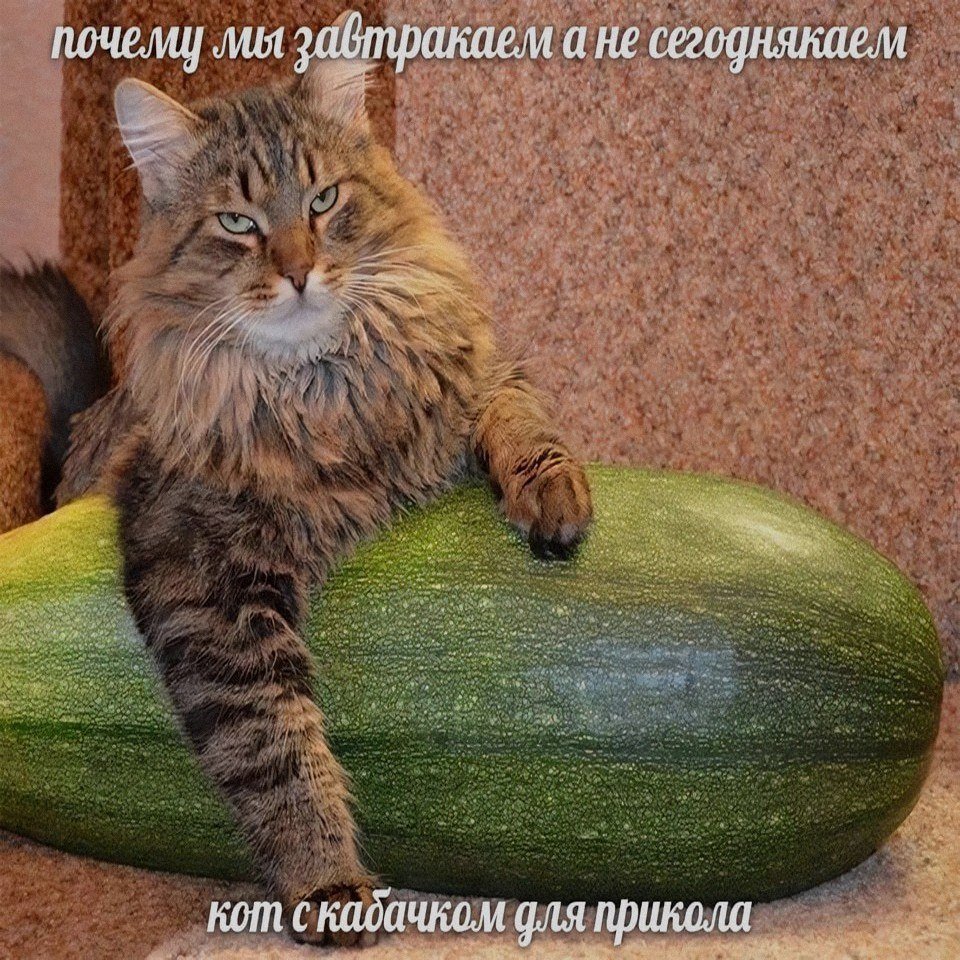На заметку — САМАЯ НИЩЕВАЯ ГРУППА (о да мы такие нишевые блин круто) · Стрекоза