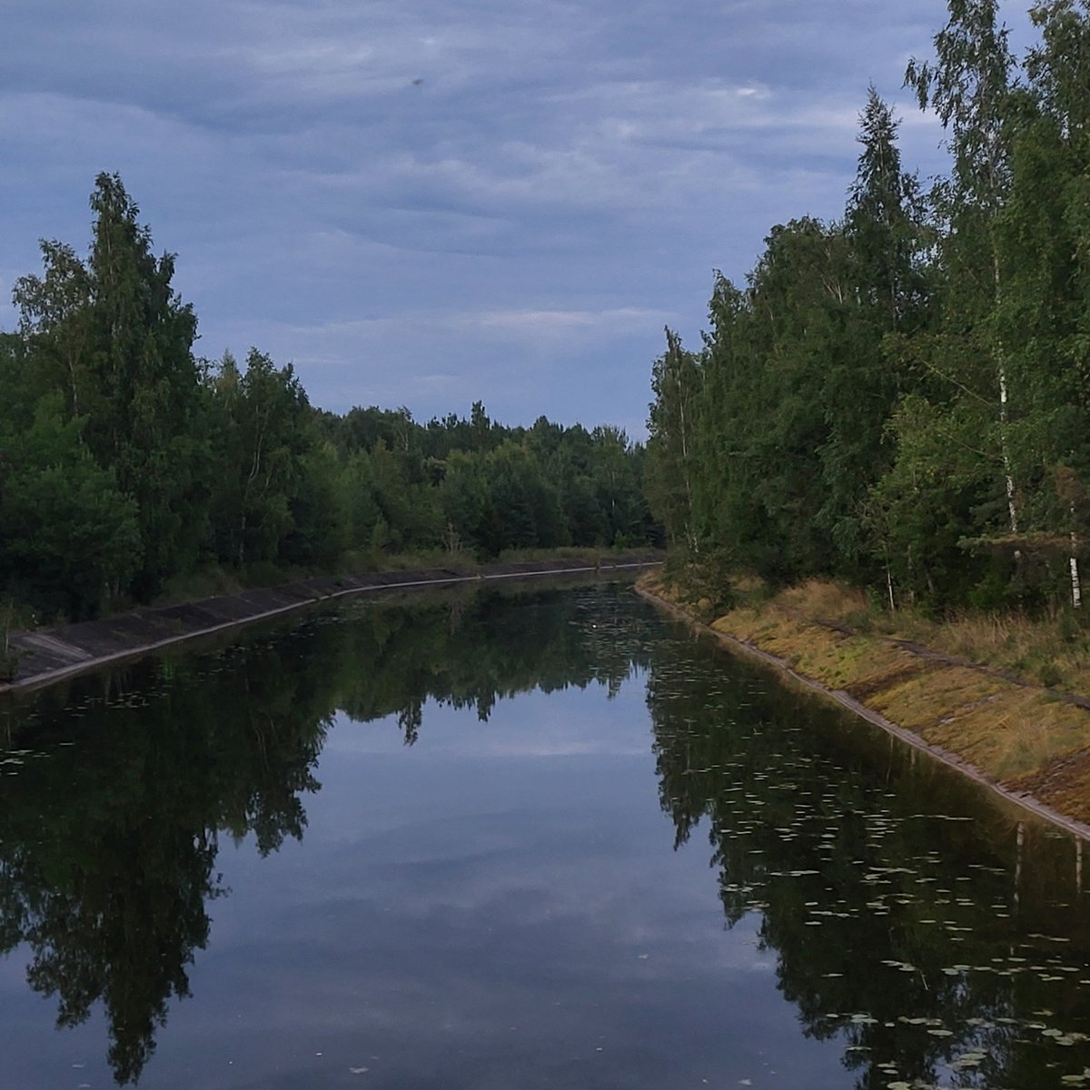 Всем привет! Обновление по моей ситуации, я во вторник съездил и вы н… — Boydoebish · Стрекоза