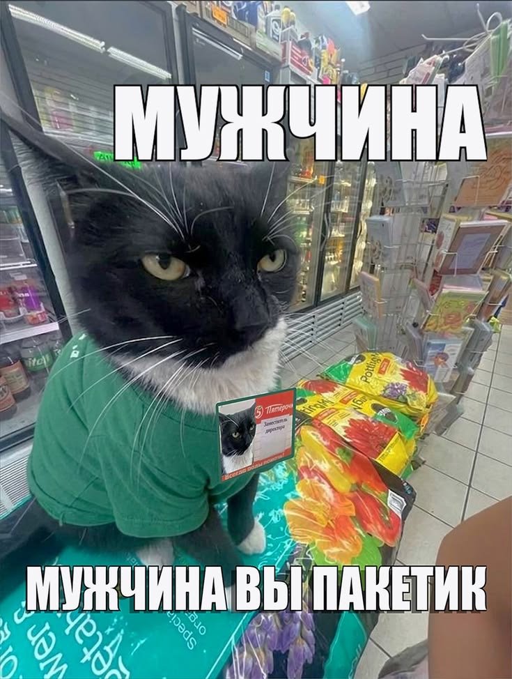 За выходные нифига не завайбился и поэтому на работе мне будет грустн… — Something_wrong · Стрекоза