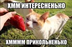 моя любима ягода это кишмиш а фрукт яблоко напишите свои ягоды и фрук… — kkishM1sh · Стрекоза