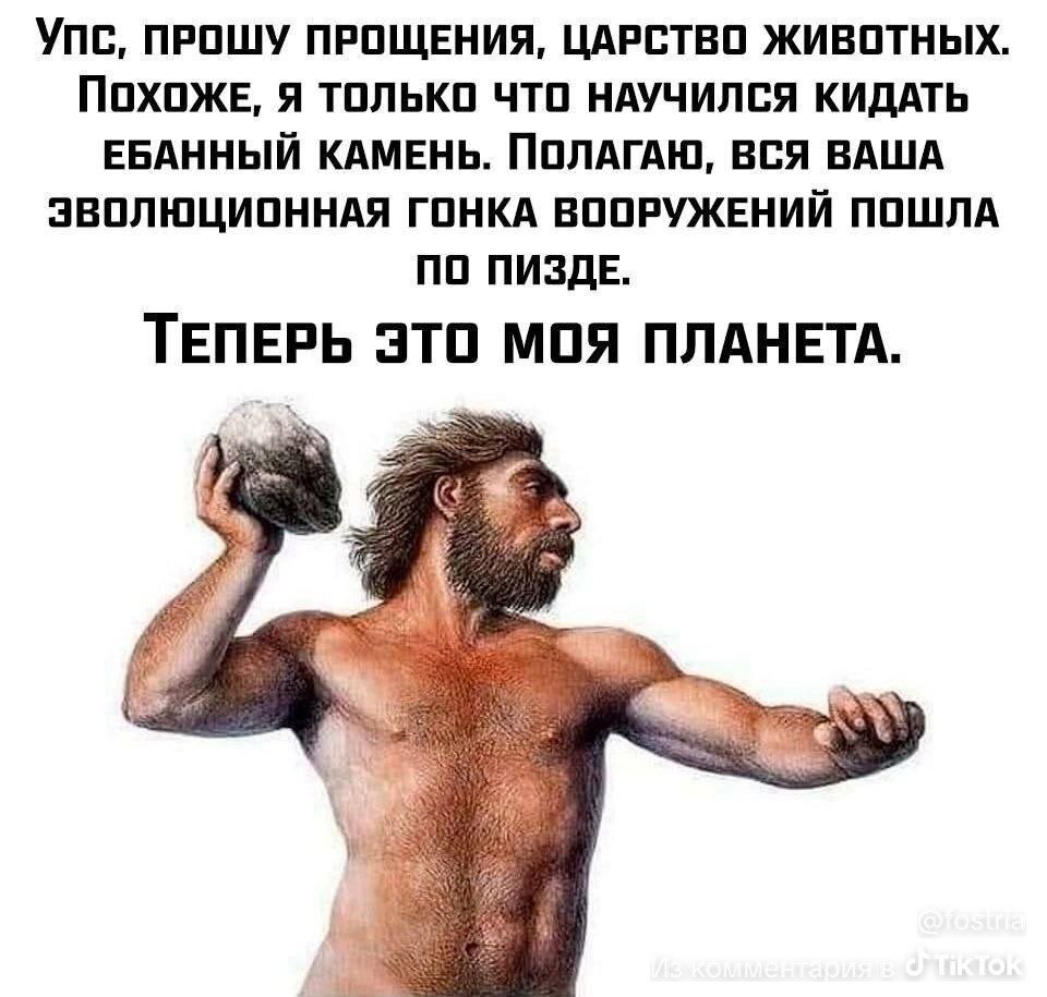 Чуваки вы ваще шарите? Чуваки что тогда жили смогли развиться, ваще с… — Something_wrong · Стрекоза