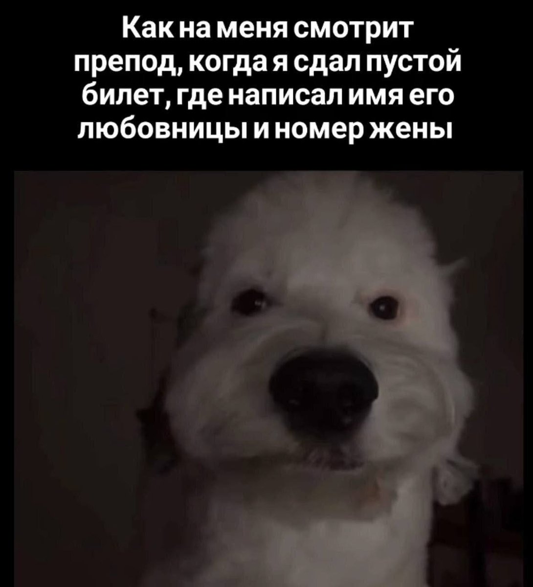 #картинке — heshh · Стрекоза