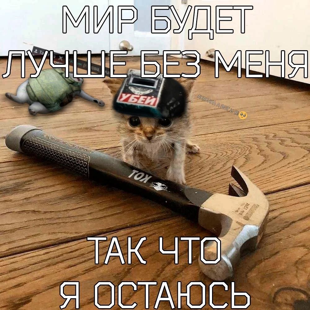 Кинте сиси кто-нибудь(((( мне одиноко — Kolpack · Стрекоза