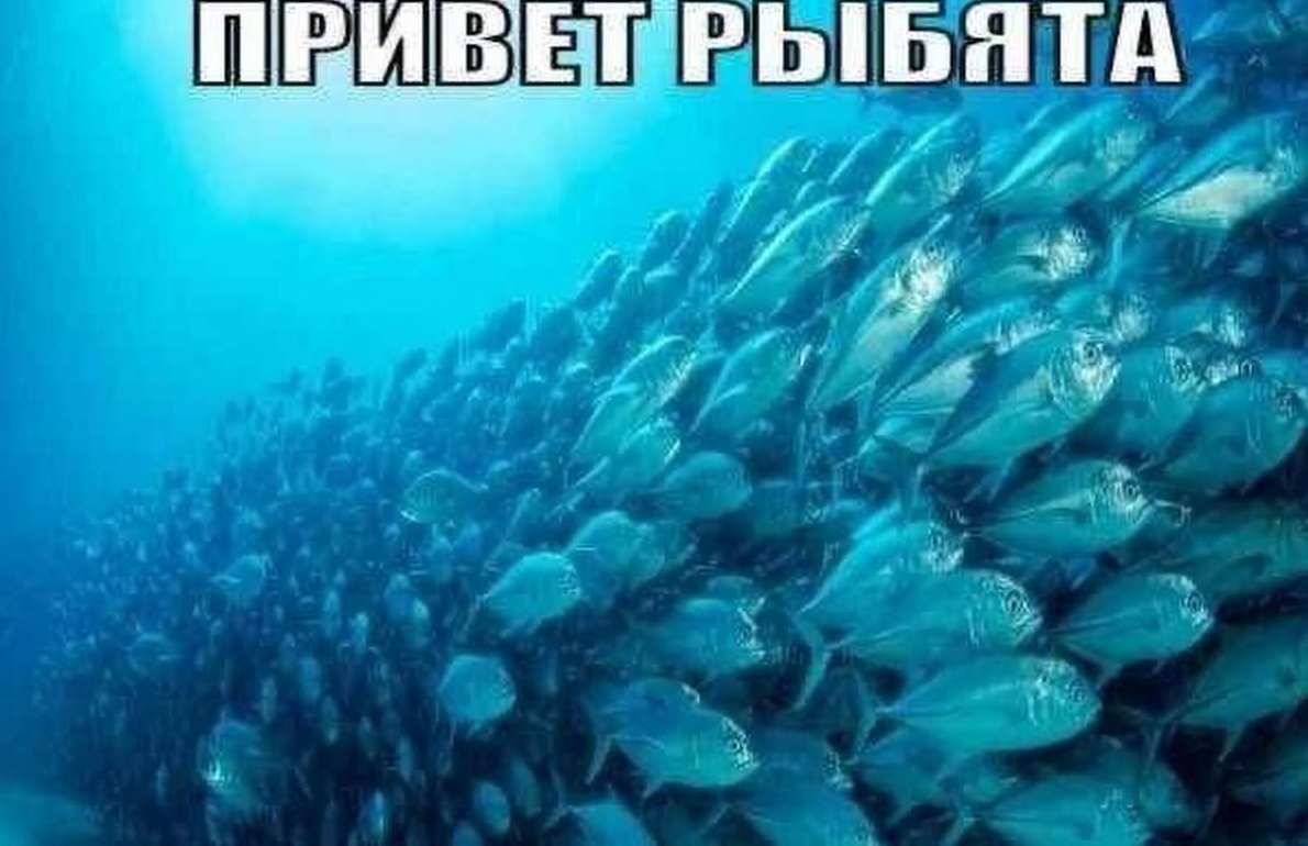 джоке — l1nk · Стрекоза