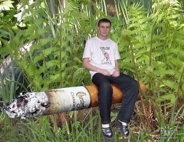 Тока приехал домой, выбирался трогать траву, заебался очен, но было к… — mould · Стрекоза