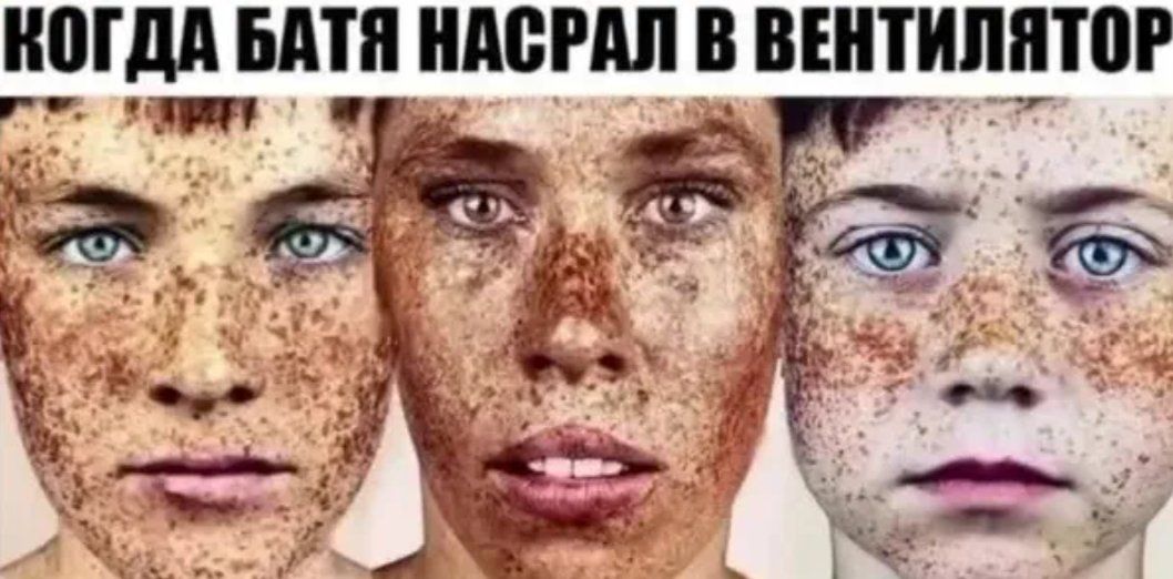 жиза — kishki_na_vetke · Стрекоза