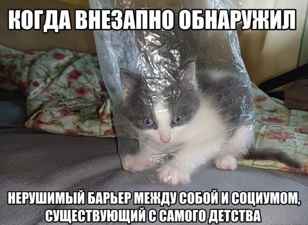 Мир, перед которым стоит каждый мой ровесник, не имеет тех положений,… — rokovaya_kobelina · Стрекоза