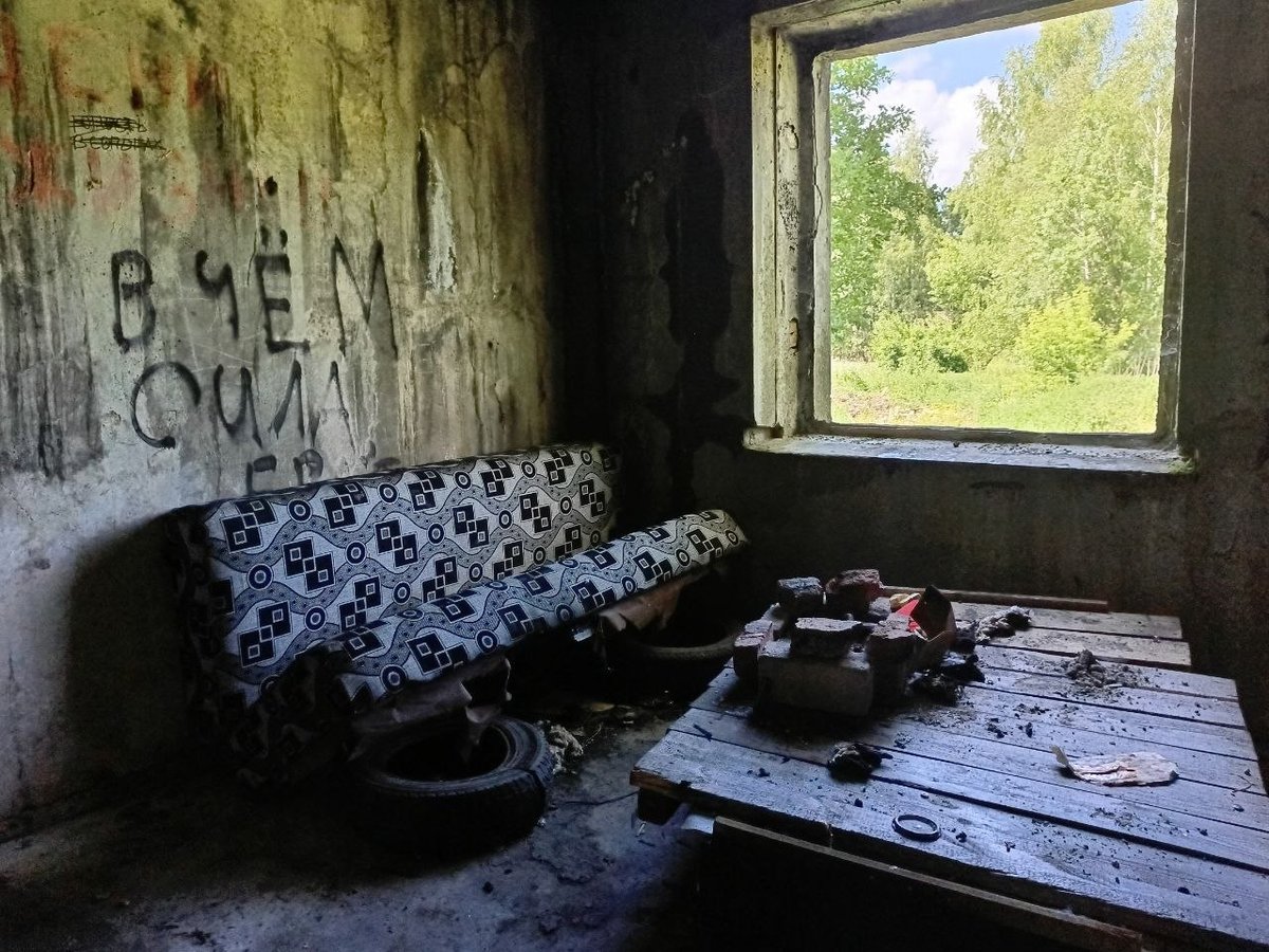 гулял недавно — barsik_o1 · Стрекоза