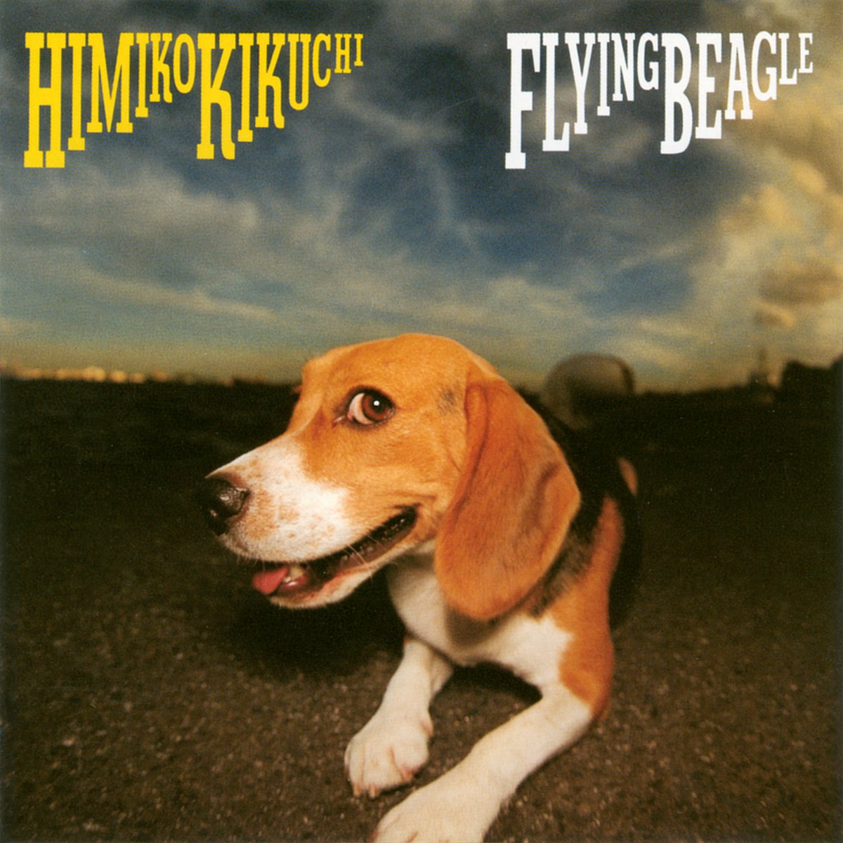 Flying Beagle is the sixth studio album by Japanese jazz-fusion music… — архив музыки · Стрекоза