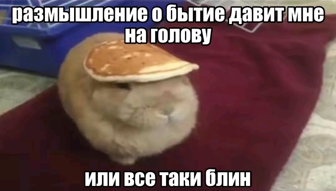 Уйду жить в лес от этого пагубного общества — BblDlo · Стрекоза