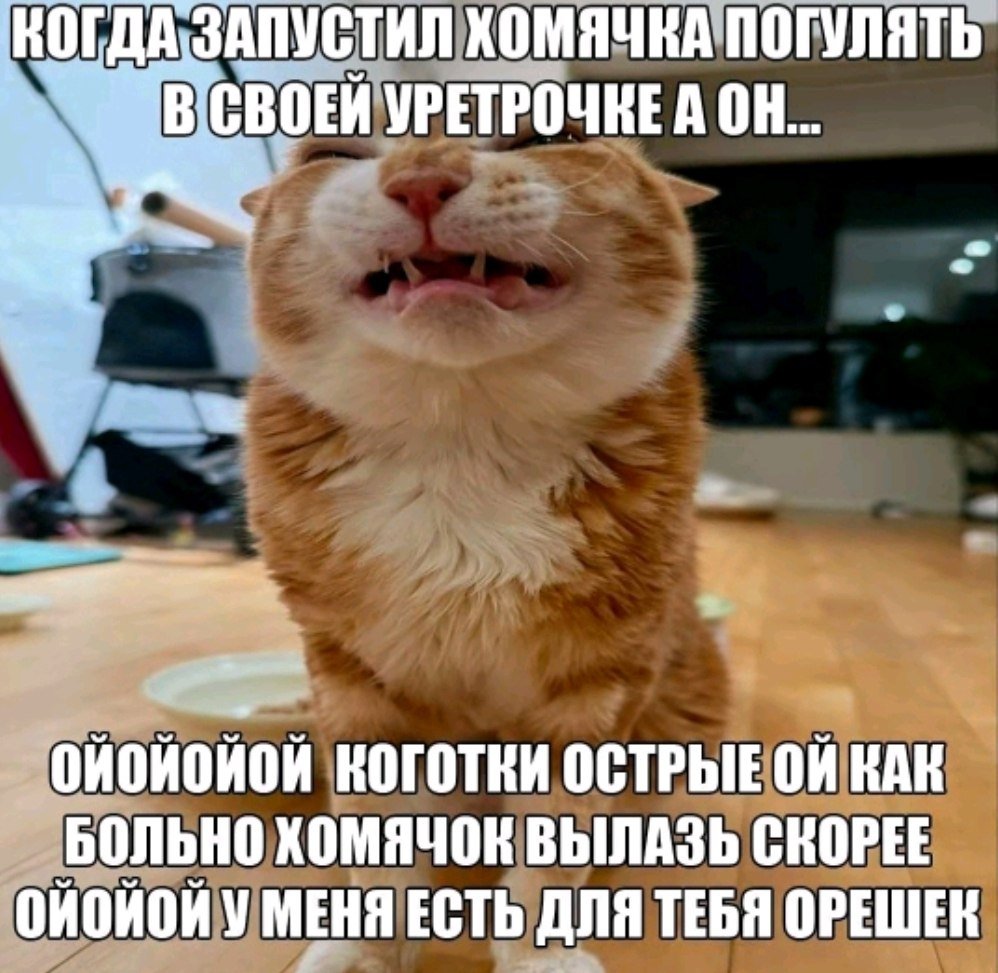 500 звёздочек уже, пасяба стрекозуны — pegger1337 · Стрекоза